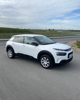 Citroen C4 Cactus cena 50999 przebieg: 54000, rok produkcji 2018 z Warszawa małe 301